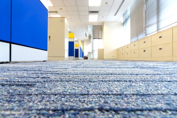 Business Carpet Cleaning in Lees Summit