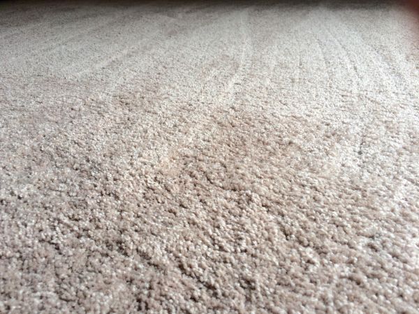 Plush Carpet Installation in Lees Summit