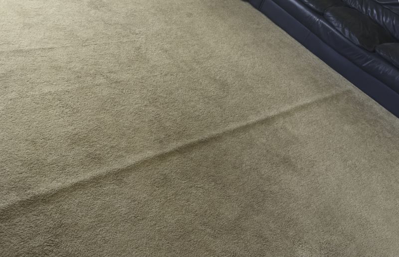 Carpet Repair Solutions